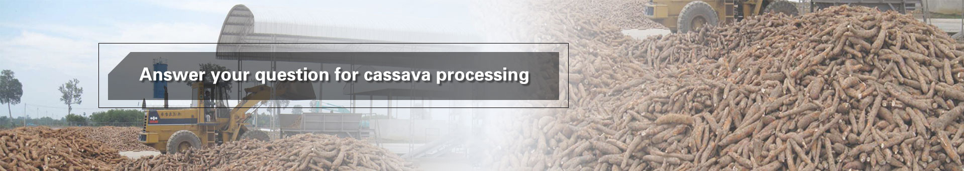 Cassava production and processing