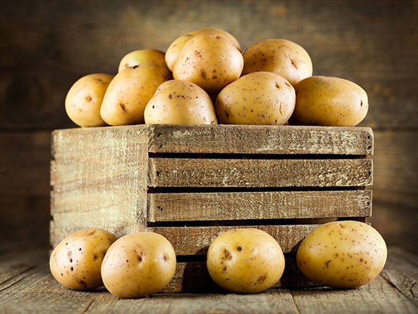 Machine de transformation de la fécule de pomme de terre