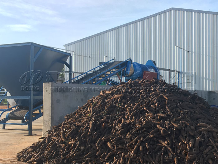 Combien coûte une machine à manioc?