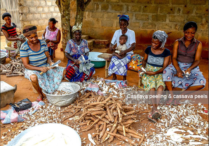 quels sont les sous-produits de la transformation du manioc