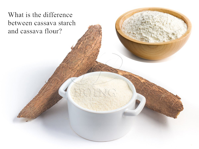 Différence entre l'amidon de manioc et la farine de manioc