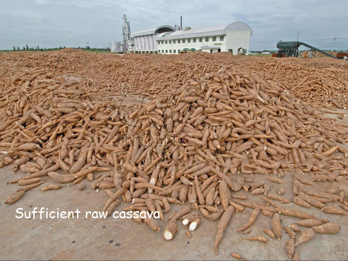 How to start Cassava faur Processing Business in Nigeria