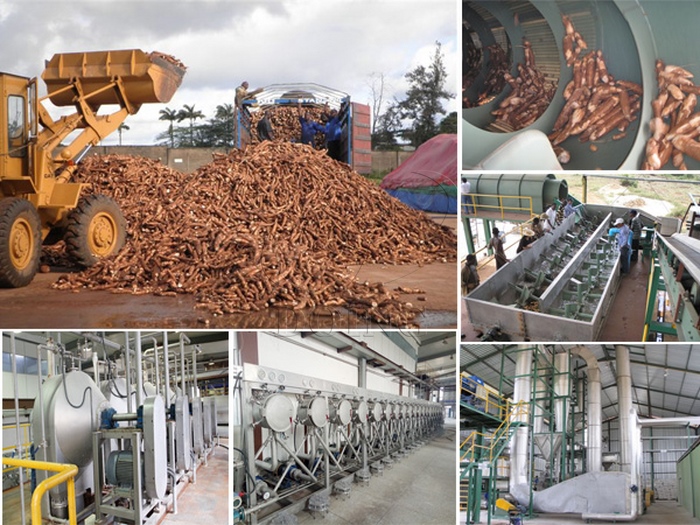 Machines de transformation du manioc et leurs prix