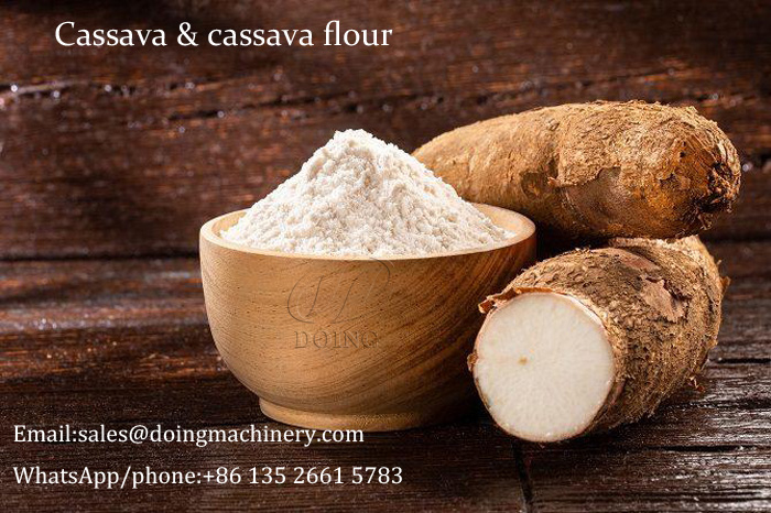 Tapioca Powder