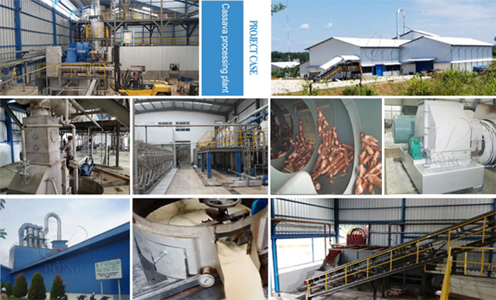 How to set Cassava processing plant