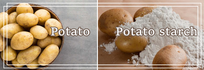 Pakistan Starch Processing Technology