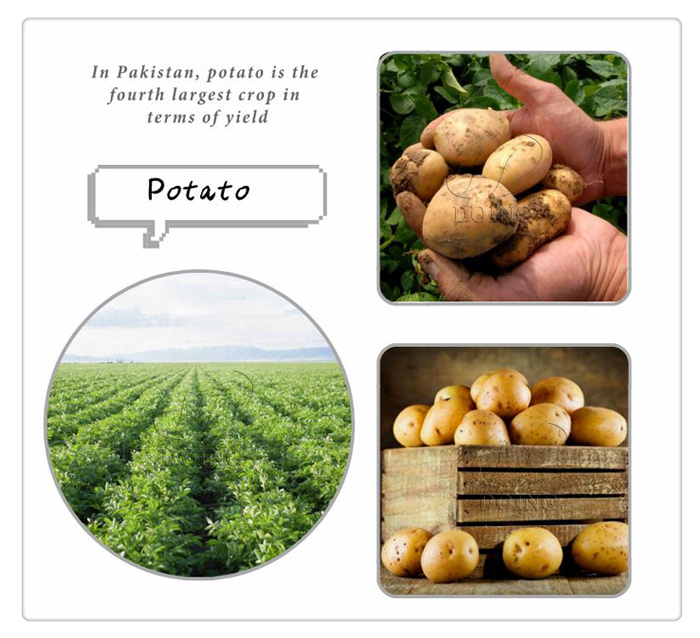 Pakistan Potato Starch Processing Technology