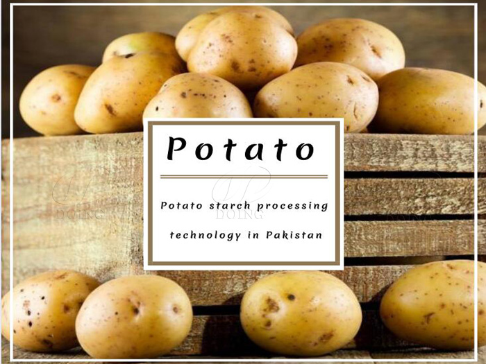 Technologie de transformation de la fécule de pomme de terre au Pakistan