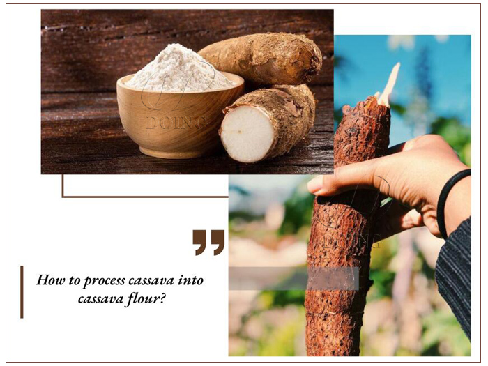 Comment transformer le manioc en farine de manioc