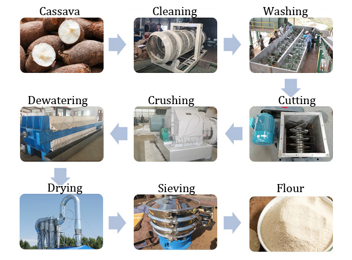 How to process manioc Processing to manioc Powder