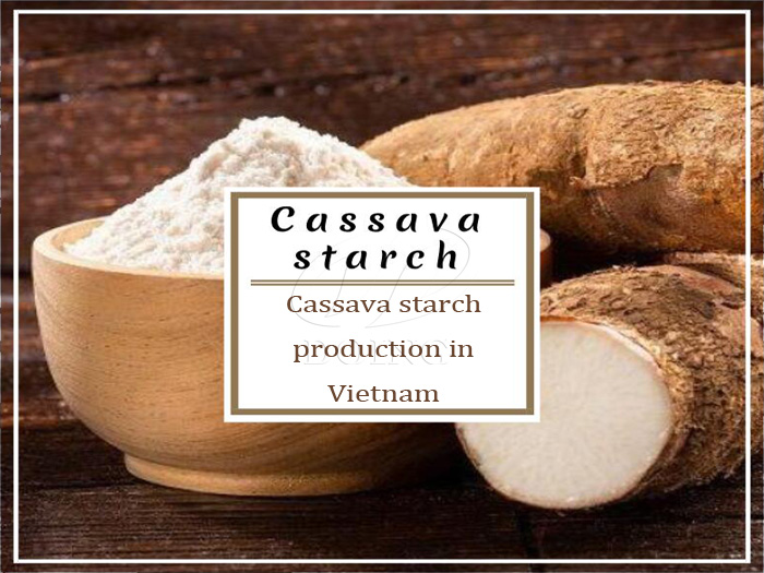 Production d’amidon de manioc au Vietnam: conditions passées et nouvelles possibilités de développement
