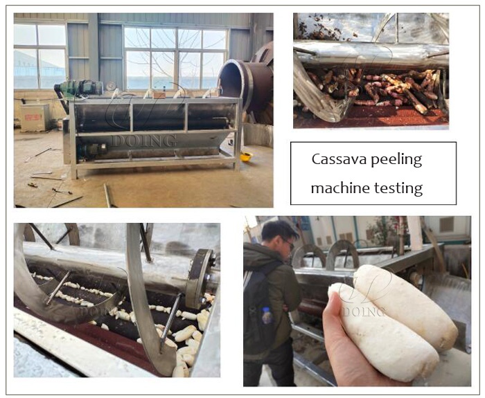 Tapioca peel and washing machine Testing