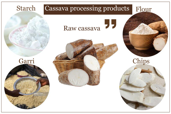 How to start Cassava Processing Business