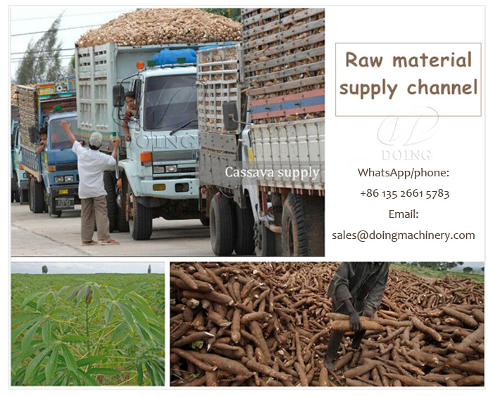 How to start Cassava Processing Business