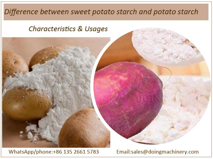 Différence entre l'amidon de pomme de terre douce et l'amidon de pomme de terre