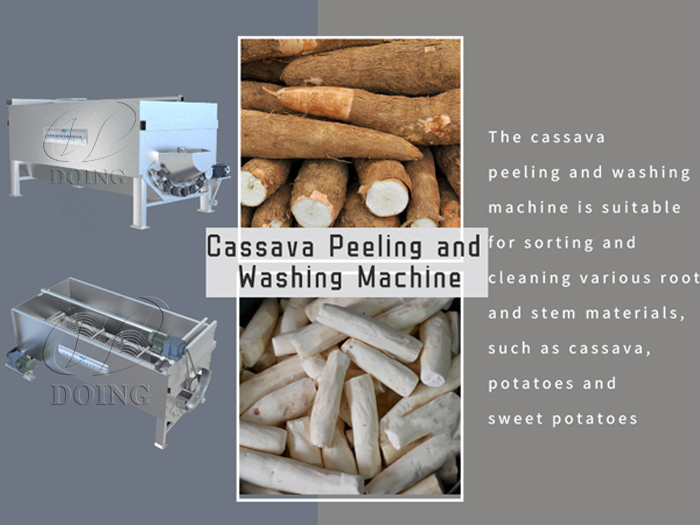 Tapioca tubercular peeling machine to make Gary