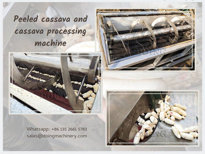 Tapioca Stripping machine