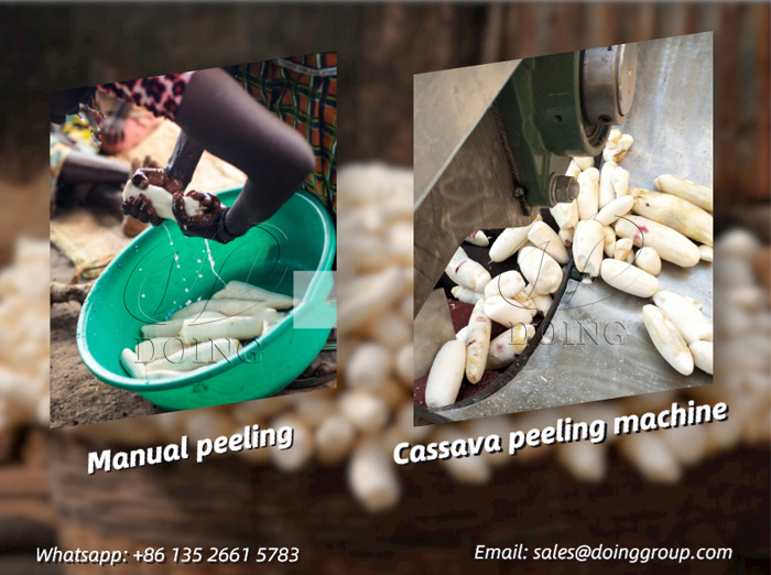 Tapioca Peeler