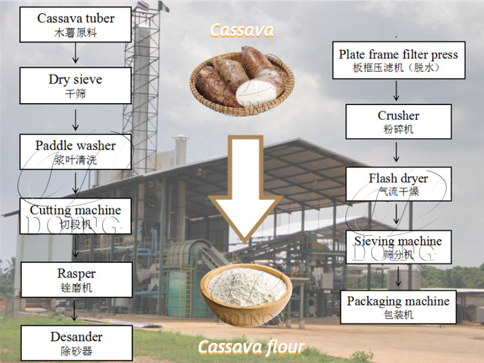 Quels sont les facteurs qui influent sur le coût de la machine de transformation du manioc?