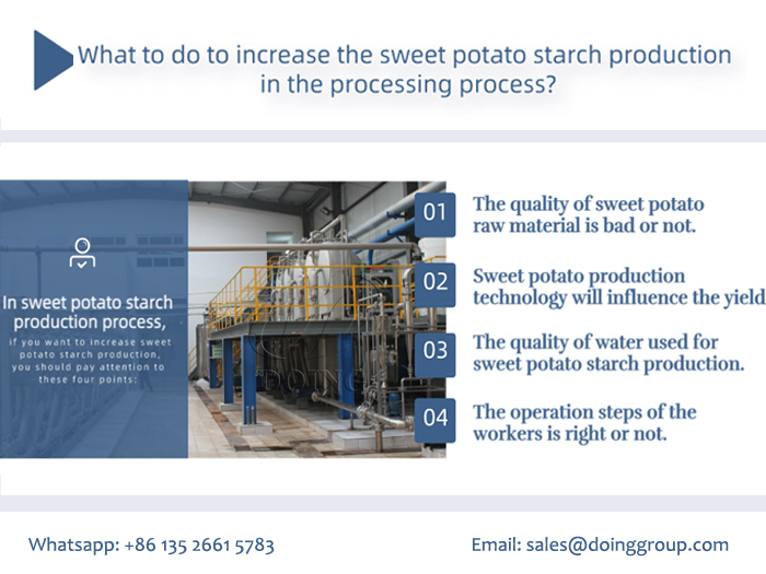 Sweet Potato Starch Production machine