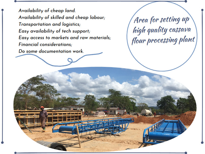 High Quality Cassava faur processing plant
