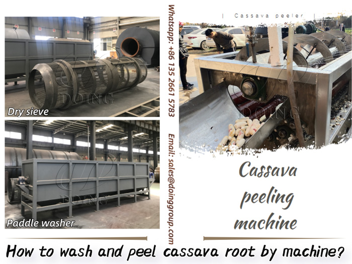 How to wash and Peel cassav root