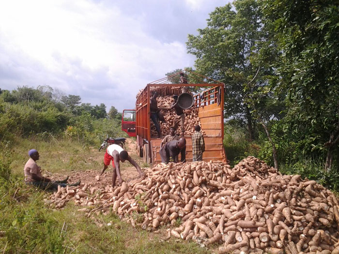 Quels sont les types de machines de transformation du manioc en Chine?