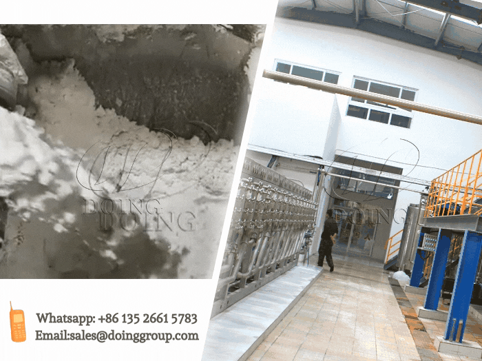 Starch Manufacturer