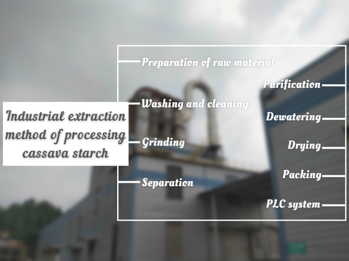 extraction method of Processing Tapioca Starch