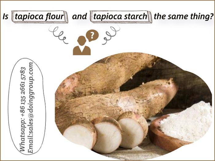la fécule de manioc et l