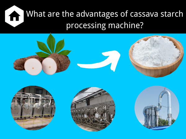 Quels sont les avantages de l'équipement de traitement de l'amidon de manioc?
